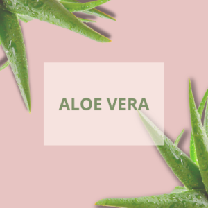 Aloe vera - Corine de Farme